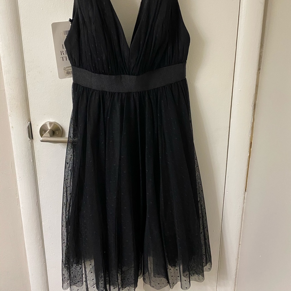 Hayden Black Cocktail dress- NWT